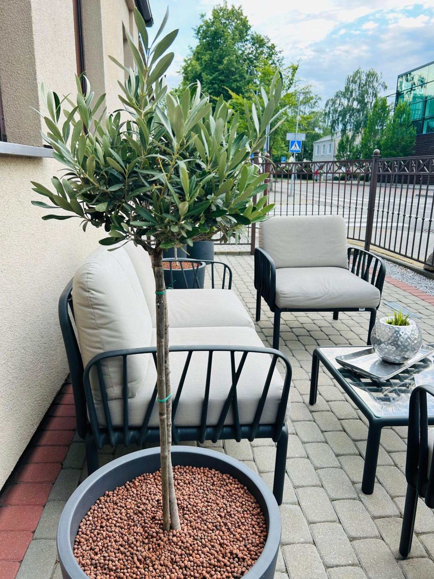 Astos Vila Palanga Exteriör bild
